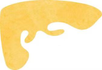 20821578.jpg 微信圖片_20240514161611.jpg